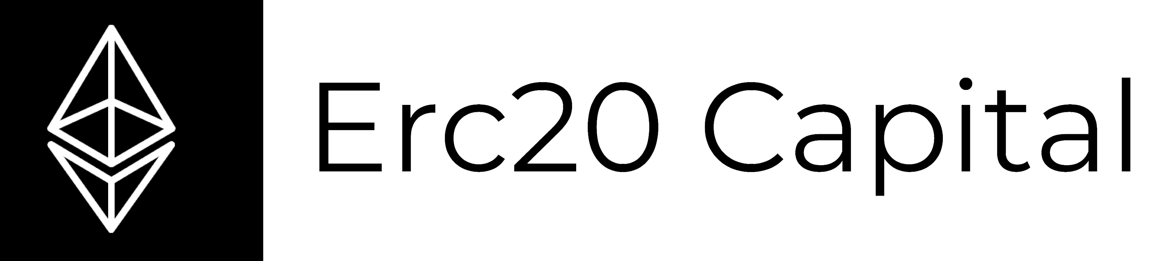 ERC20 Capital logo